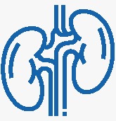 Kidney Cancer