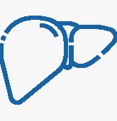 Liver Cancer