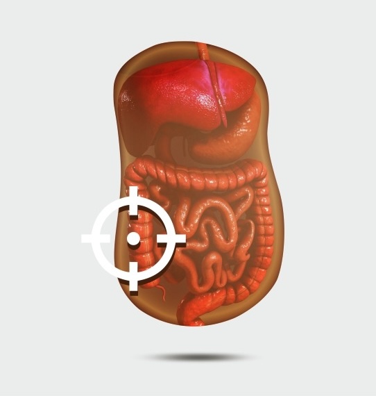 Mobile Banner