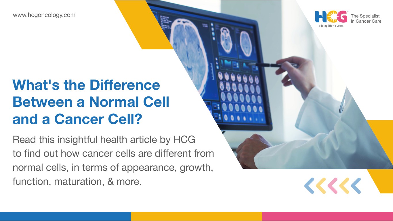 Difference Between Normal Cells and Cancer Cells	
