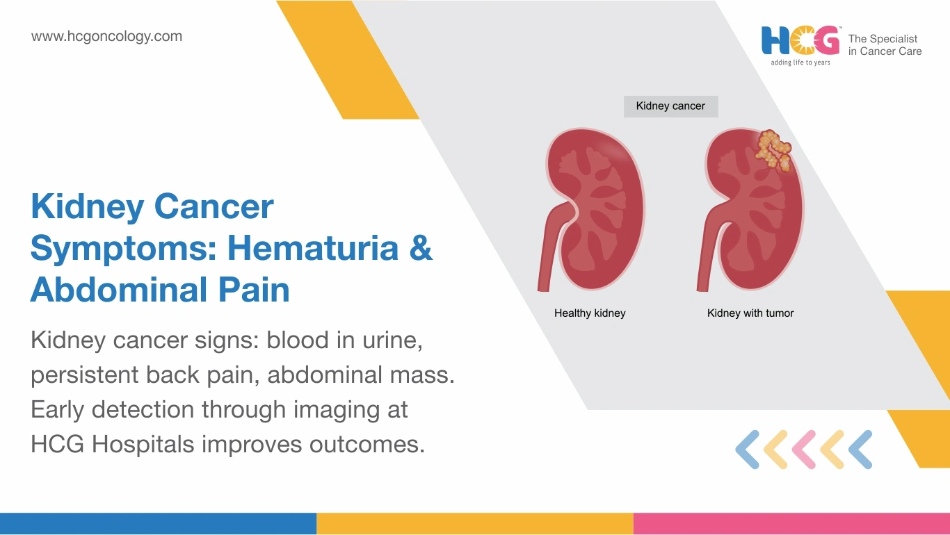 Kidney Cancer Symptoms: Early Signs & Warning Symptoms