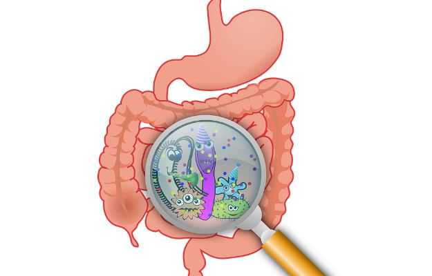 Gastrointestinal Stromal Tumor: Symptoms, Causes, and Treatment