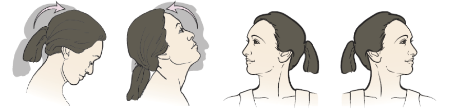 Neck stretch