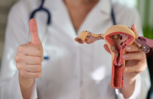 Gynaecological Treatment and Common Problems